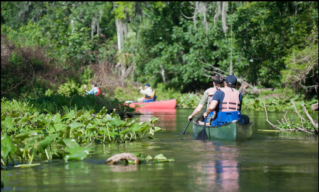 Hillsborough River Slideshow